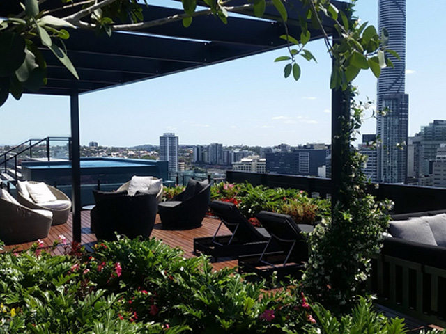 Rooftop Oasis a Cut Above